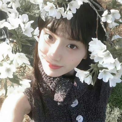 双生薄荷 海报